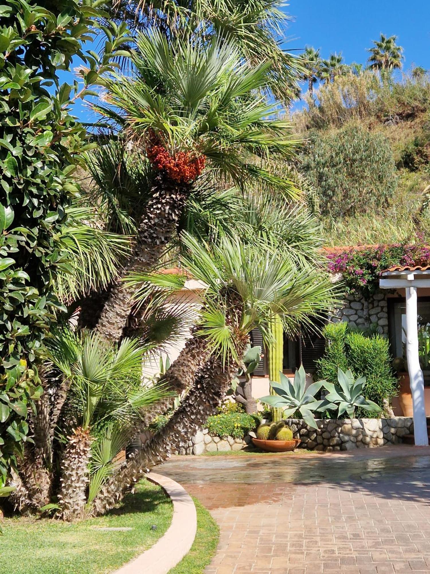 Hotel Villaggio Cala Di Volpe Capo Vaticano Kültér fotó