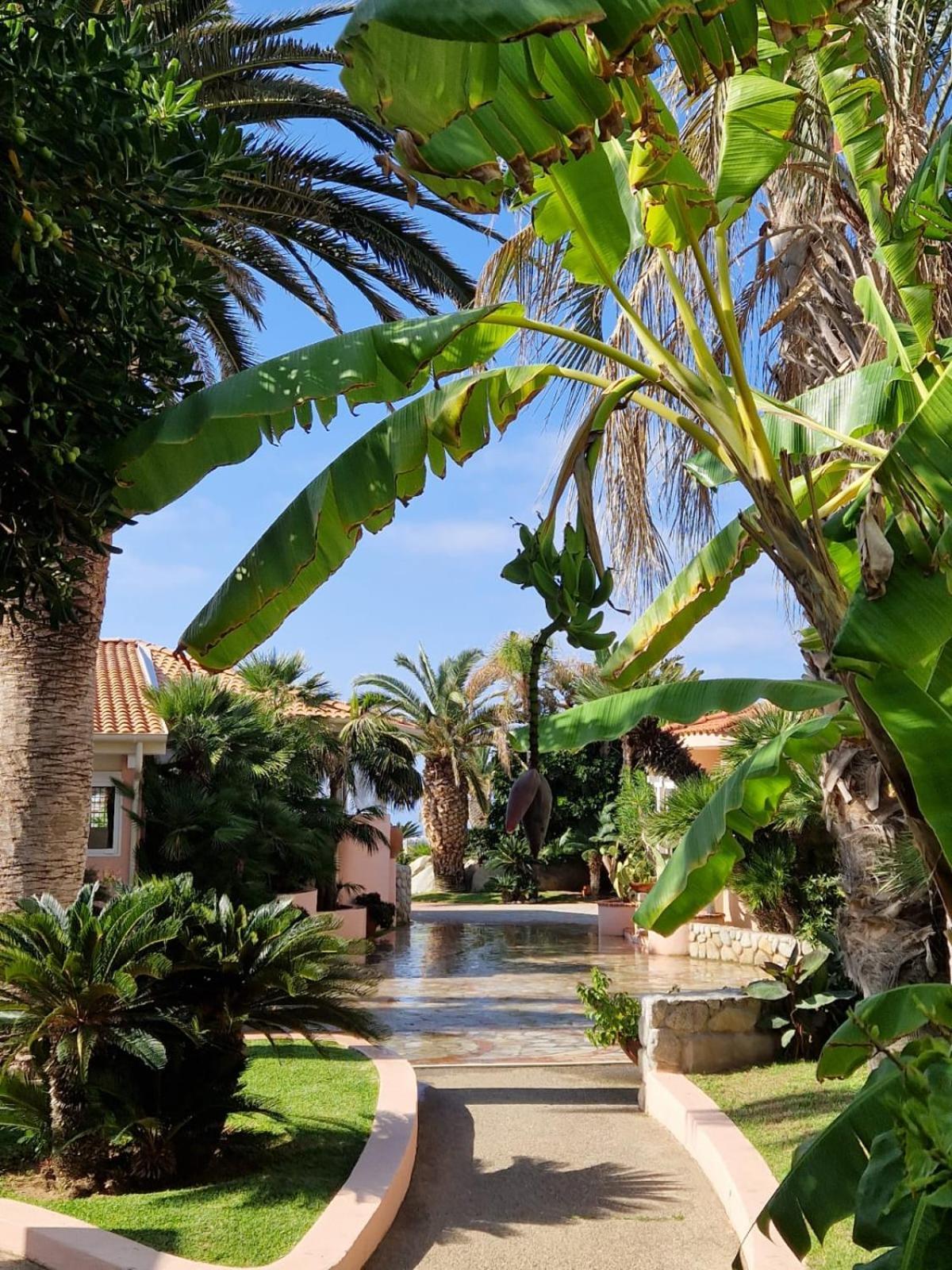 Hotel Villaggio Cala Di Volpe Capo Vaticano Kültér fotó